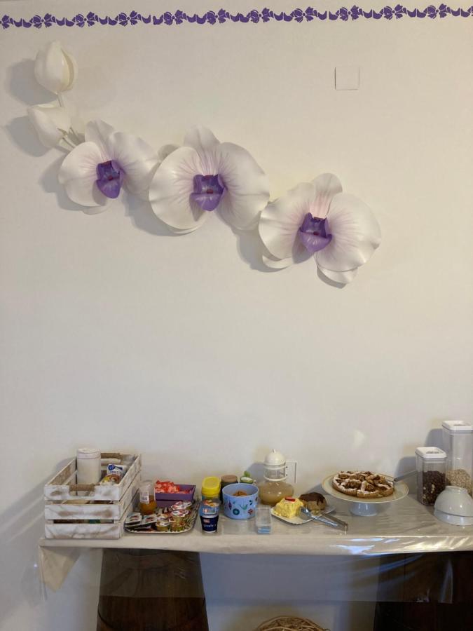 B&B Casa Losea 카스텔로 델레 포르메 외부 사진